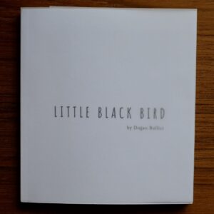 Little Black Bird