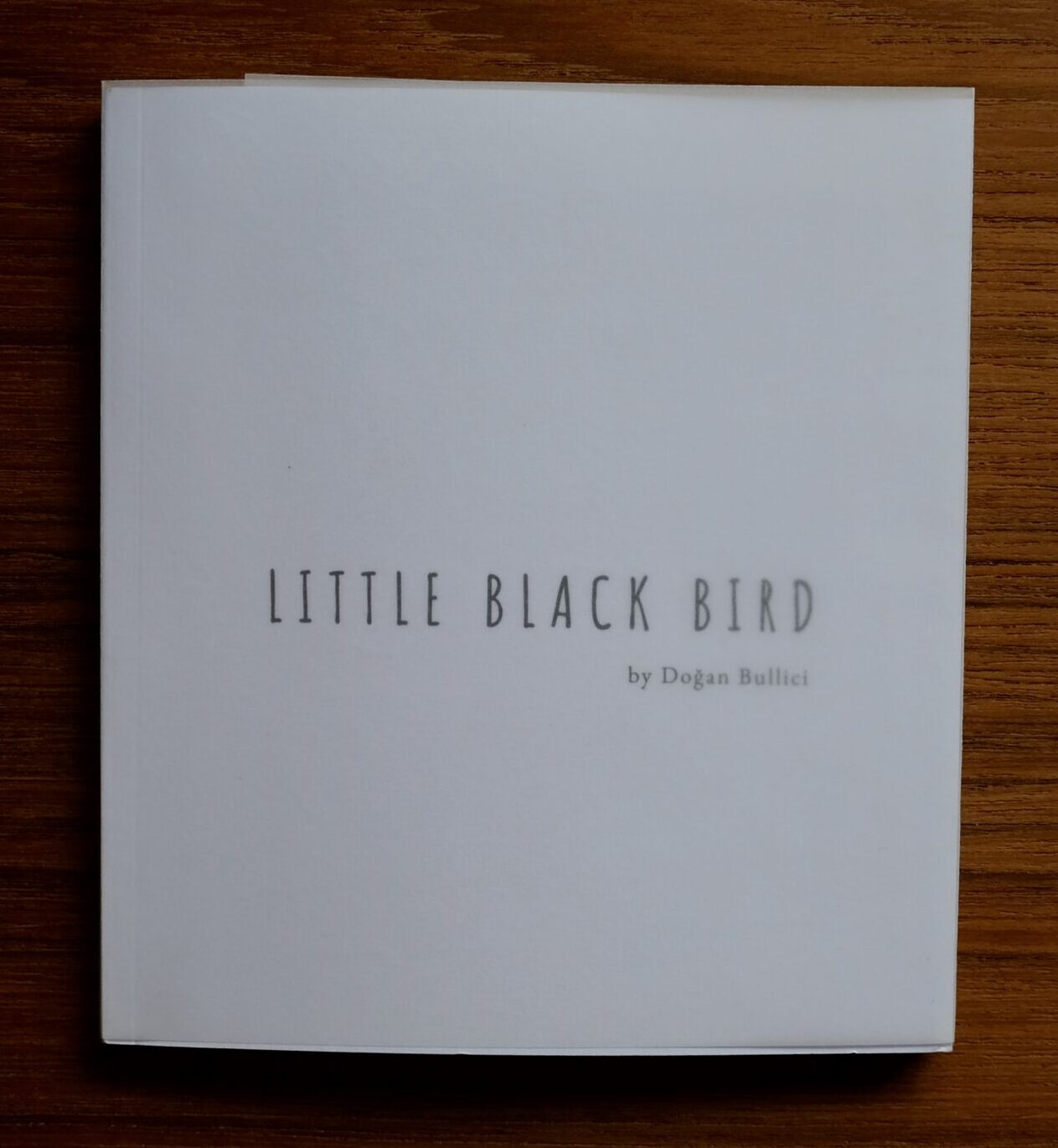 Little Black Bird