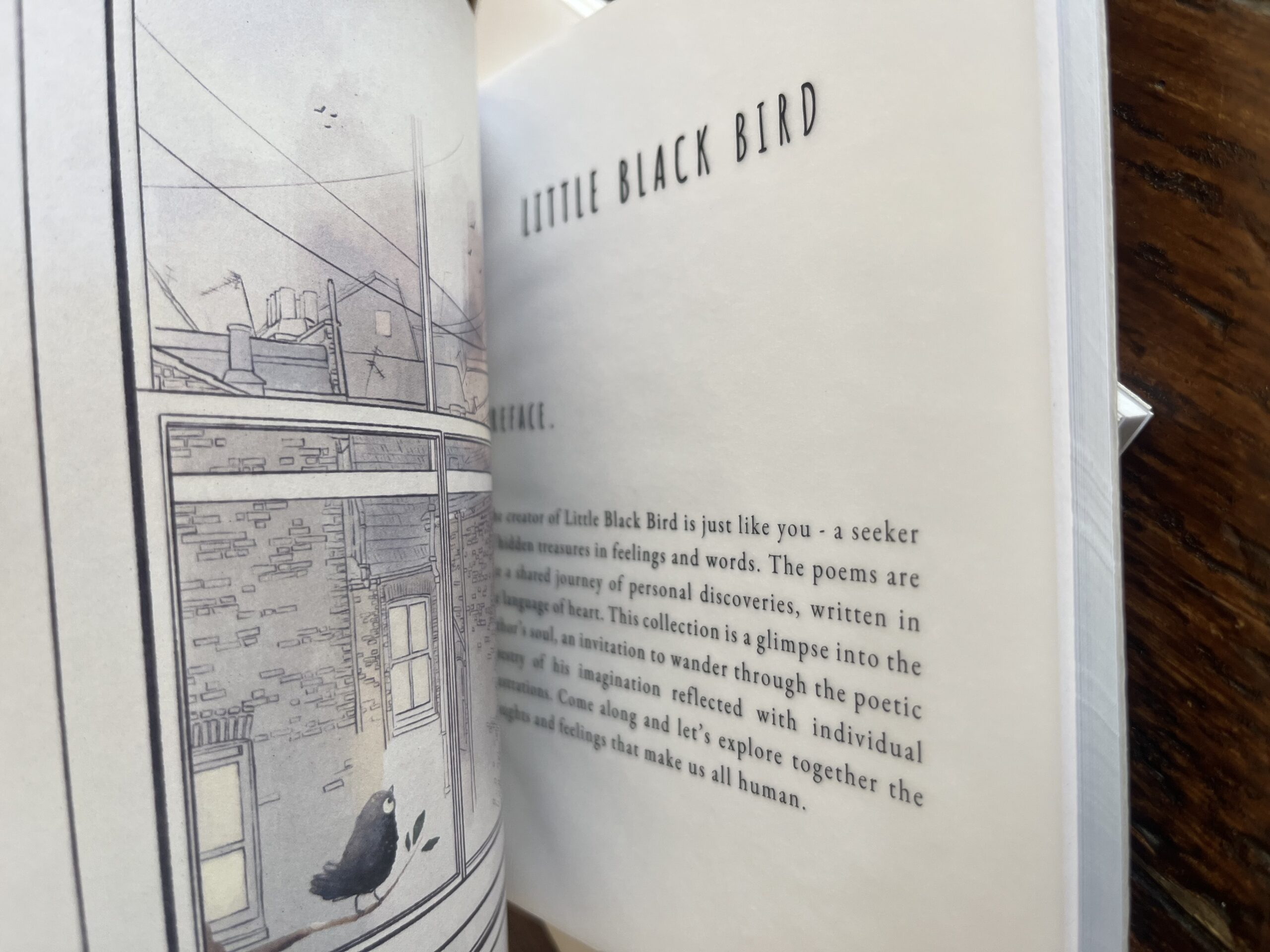 Little Black Bird - Image 5