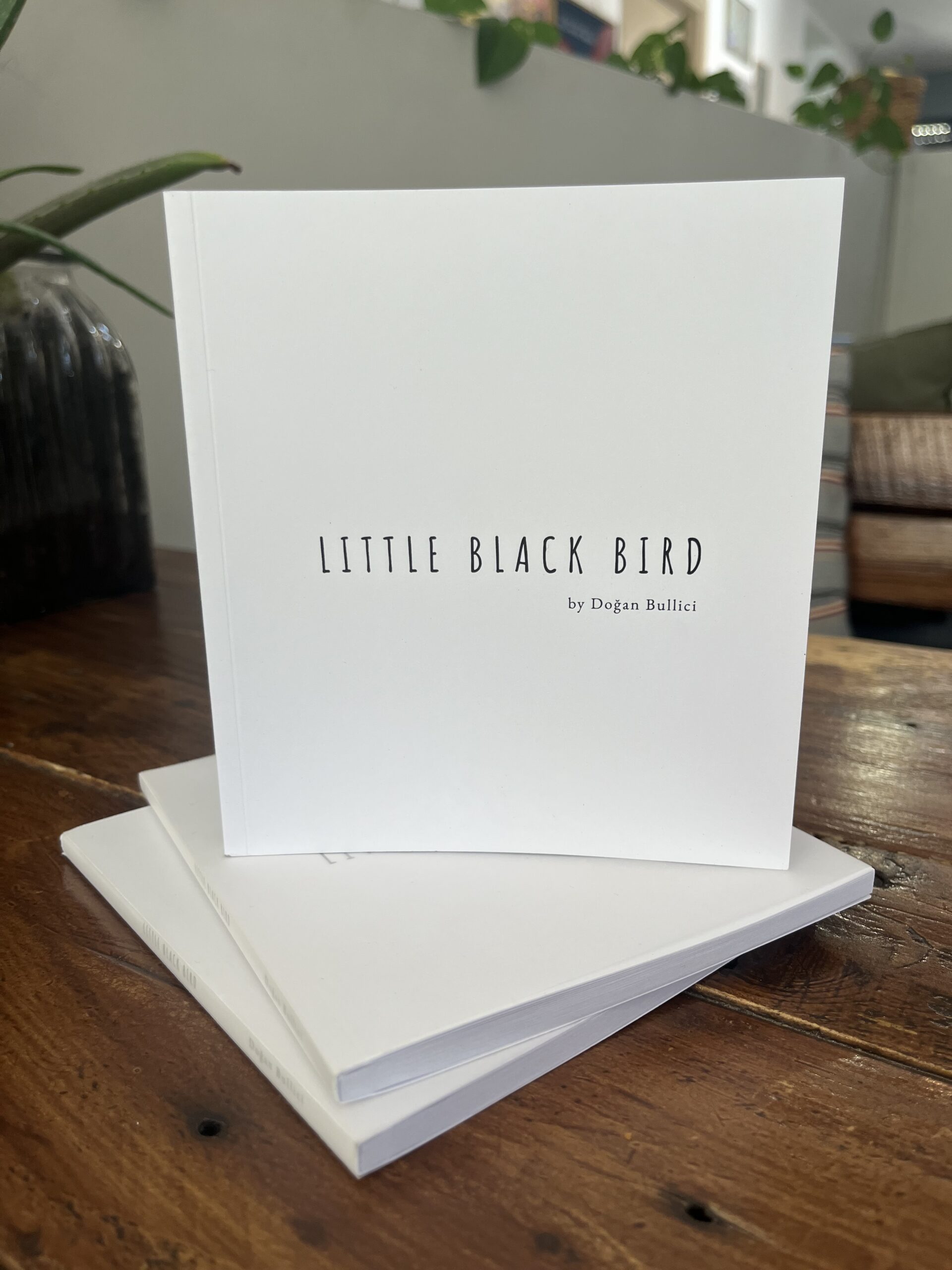 Little Black Bird - Image 4