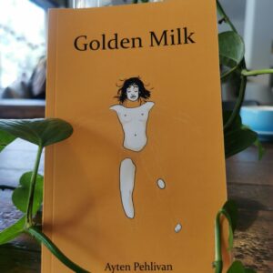 Golden Milk