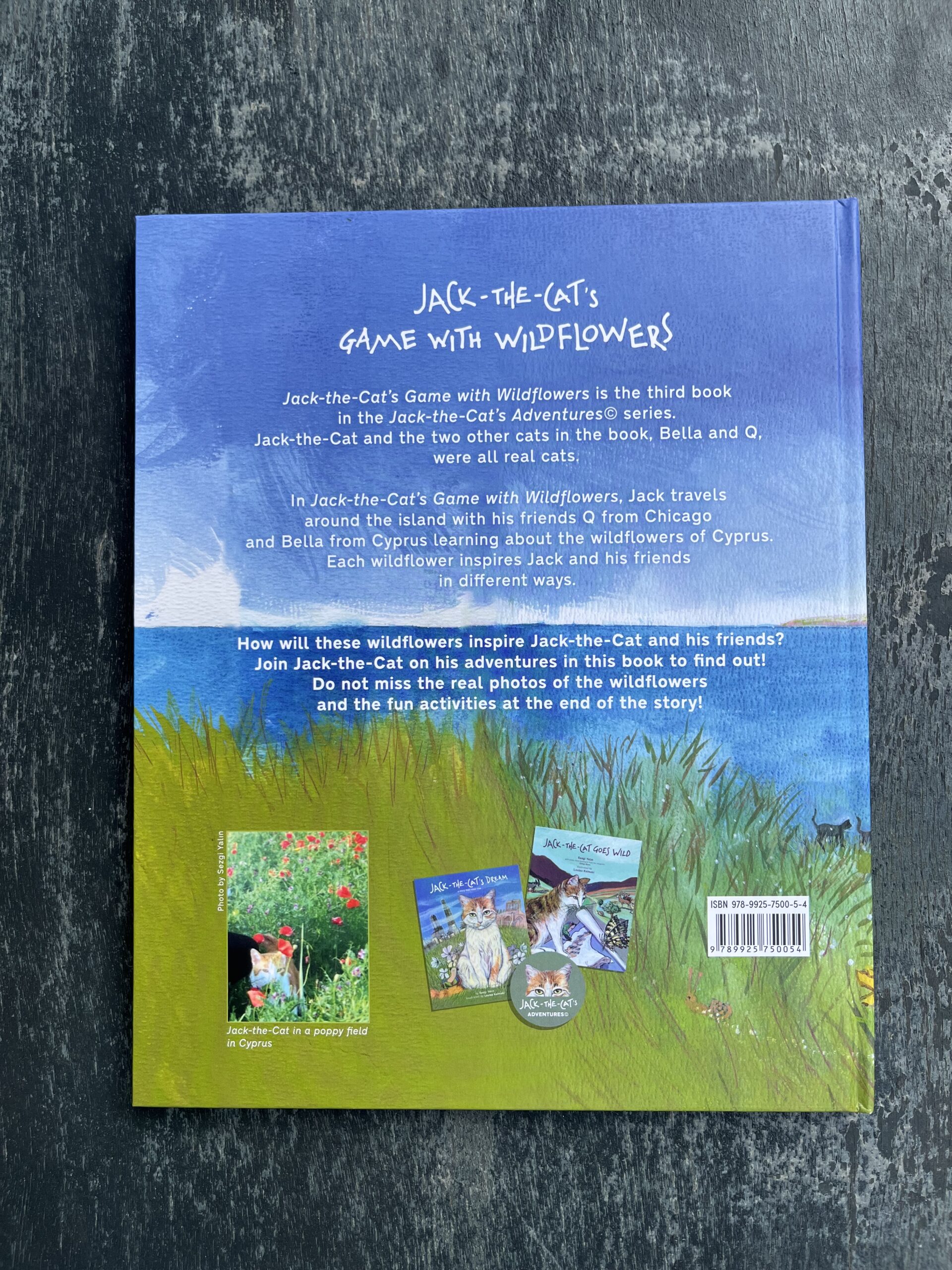 Jack-the-Cat’s Game With Wildflowers - Image 2